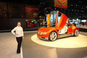 AutoShow08 141