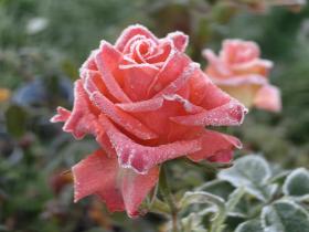 IMG 20251020 092546